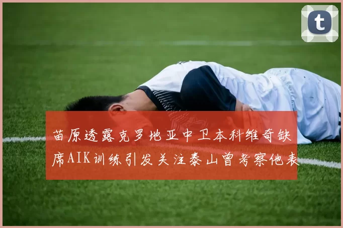 苗原透露克罗地亚中卫本科维奇缺席AIK训练引发关注泰山曾考察他表现